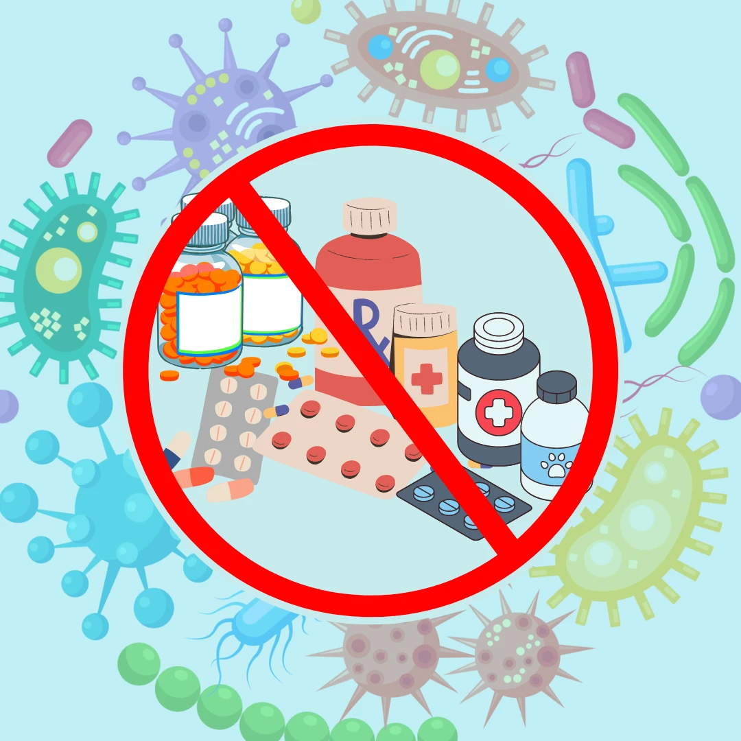 AMR: The New Menace for Human Health